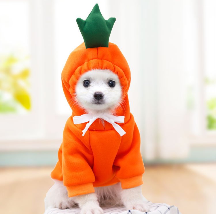 Cute Fruit Hoodie For Pets - Image 10