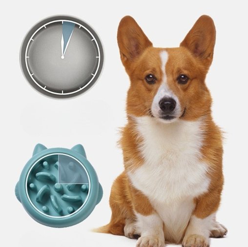 Pet Dog/Cat Slow Feeder Bowls Anti Choking - Image 9
