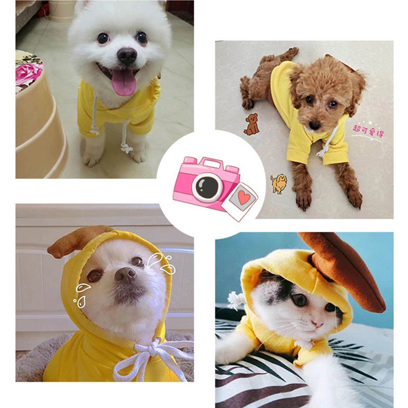 Cute Fruit Hoodie For Pets - Image 6