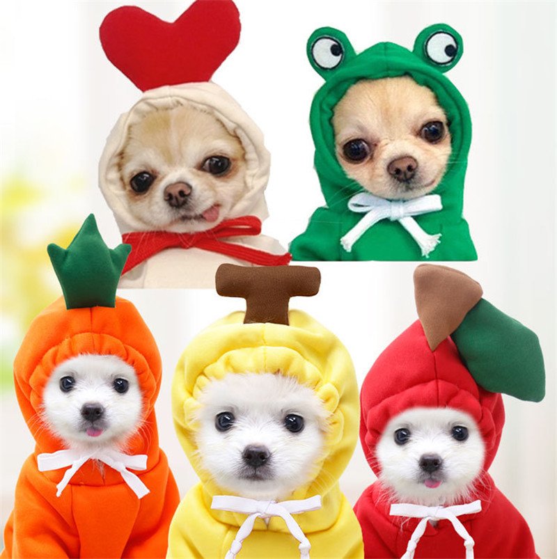 Cute Fruit Hoodie For Pets - Image 7